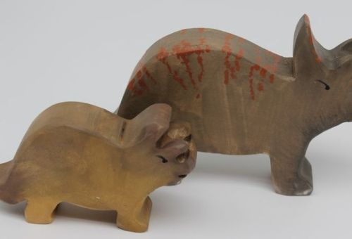 Triceratops Baby