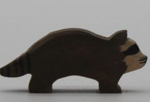 Waschbär laufend
