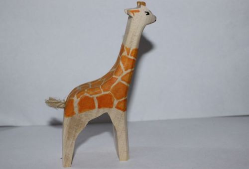 Giraffenfohlen