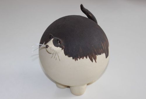 Katze