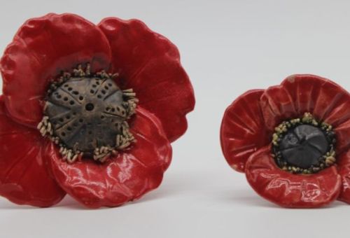 Mohn offen
