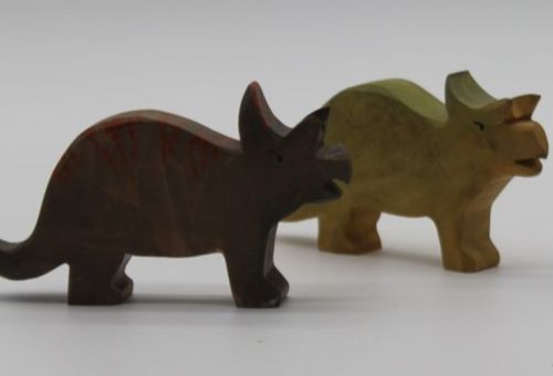 Triceratops