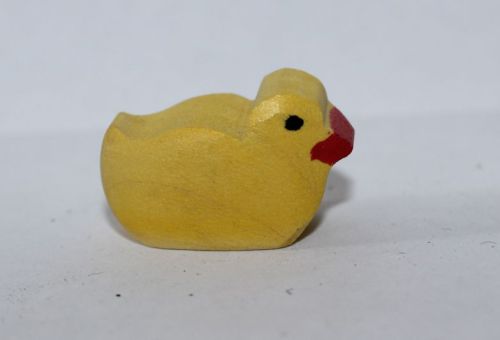 Küken schwimmend