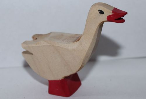 Gans Kopf nach oben
