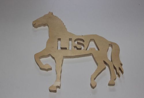 Pferd mit Namen nach Wunsch