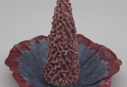 Wassertränke Kegelblume