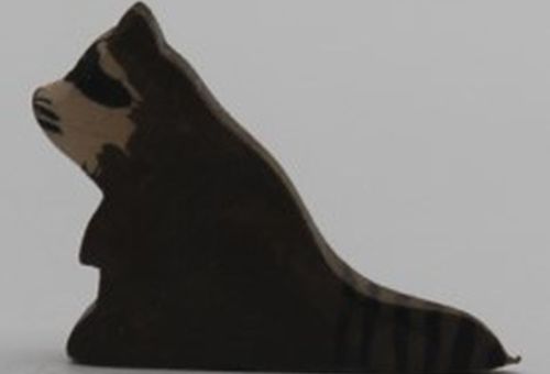 Waschbär sitzend