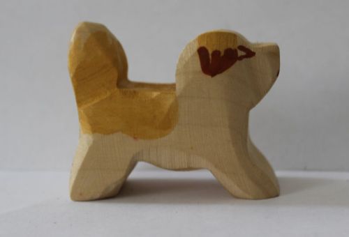 Bernhardiner klein Kopf nach oben