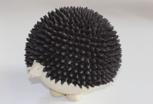 Igel