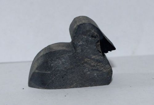 Schwan Küken