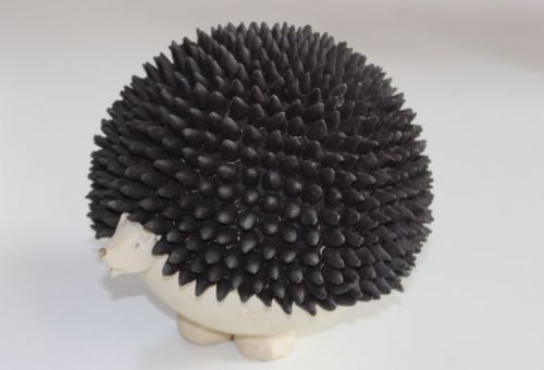 Igel